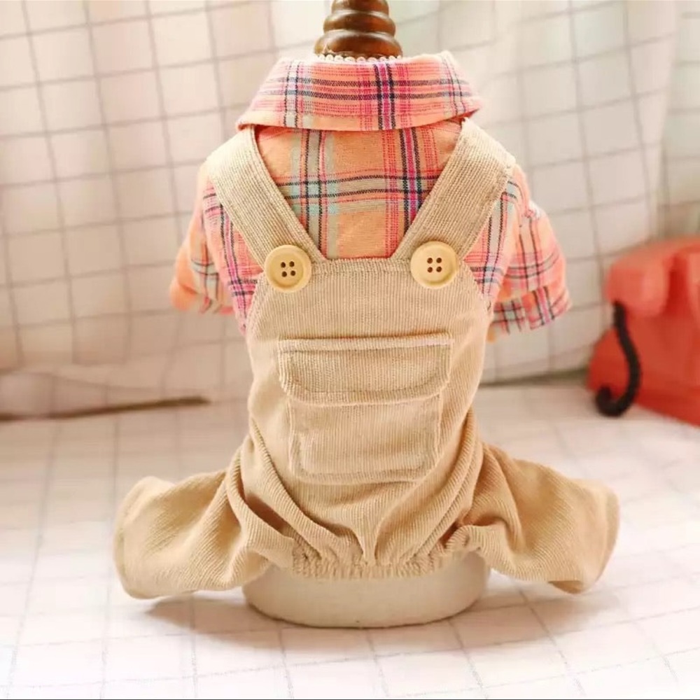Khaki overalls for dogs